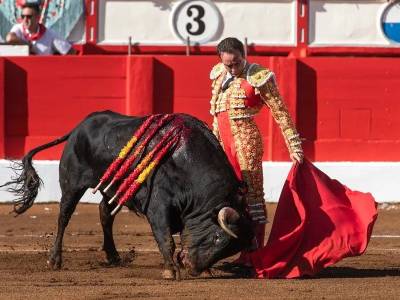 Critica la ofensiva taurina del PP: “Intentan imponer en nuestra tierra la tauromaquia para llenar sus bolsillos”