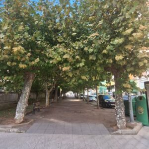 Alameda Miramar de Laredo