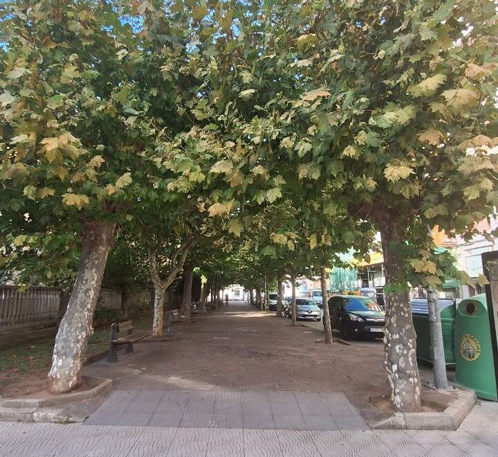 Alameda Miramar de Laredo