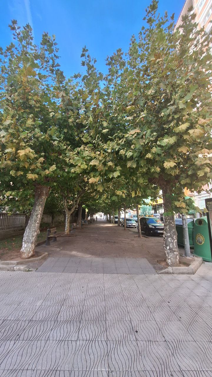 Alameda Miramar de Laredo