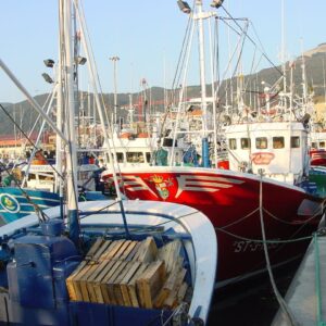Flota cántabra de otras artes en Santoña