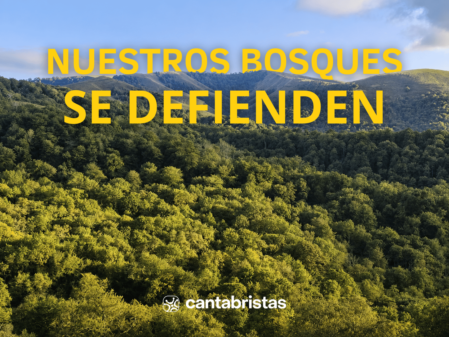 Denunciamos que el Gobierno de Cantabria está desprotegiendo los bosques autóctonos con su interpretación retorcida de la normativa europea